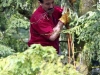 forstwaldfest_2012_004