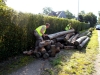 DSCN0136_800