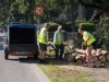 DSCN0137_800