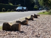 DSCN0160_800