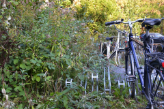 10-2016 Aktion Fahrradständer