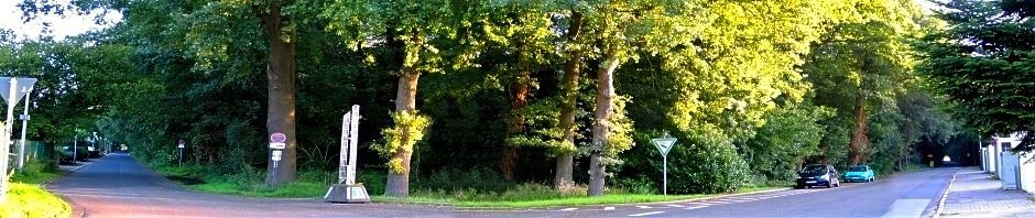 Der Forstwald